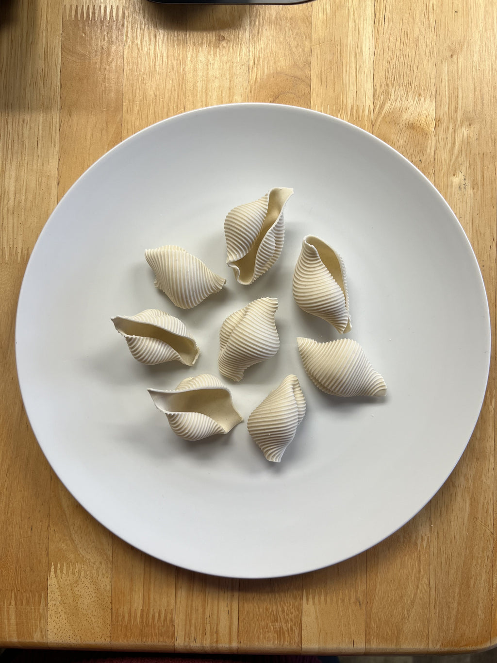 Stuffing Shells image 1