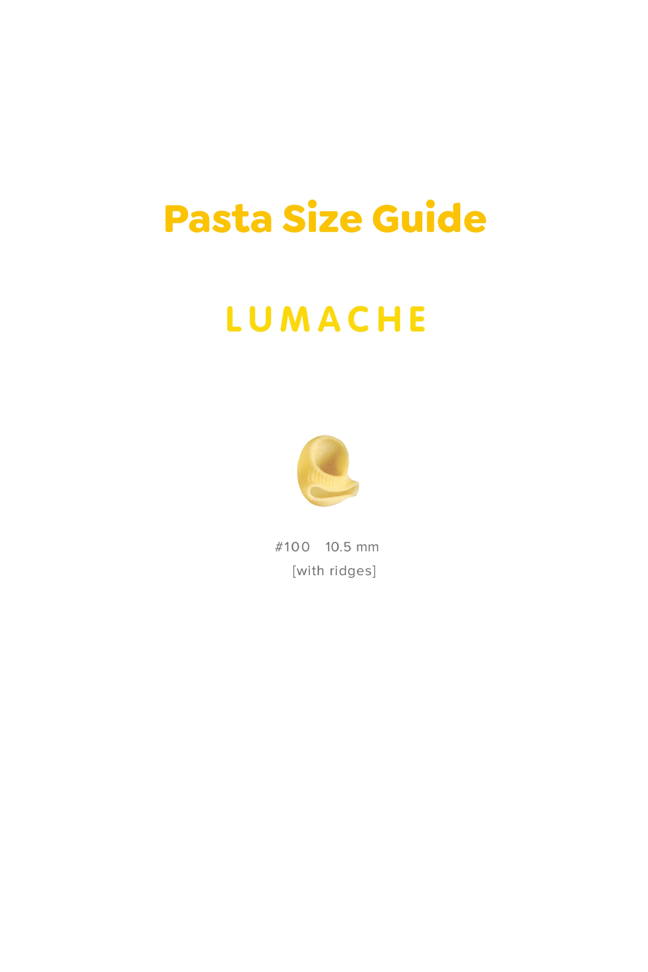 Lumache image 2