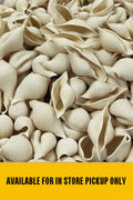 Stuffing Shells image 0